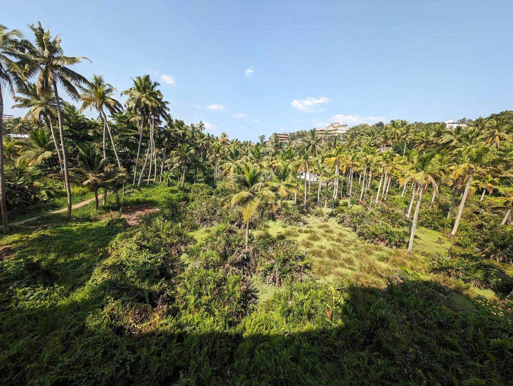 Vedantha Inn كوفالام المظهر الخارجي الصورة